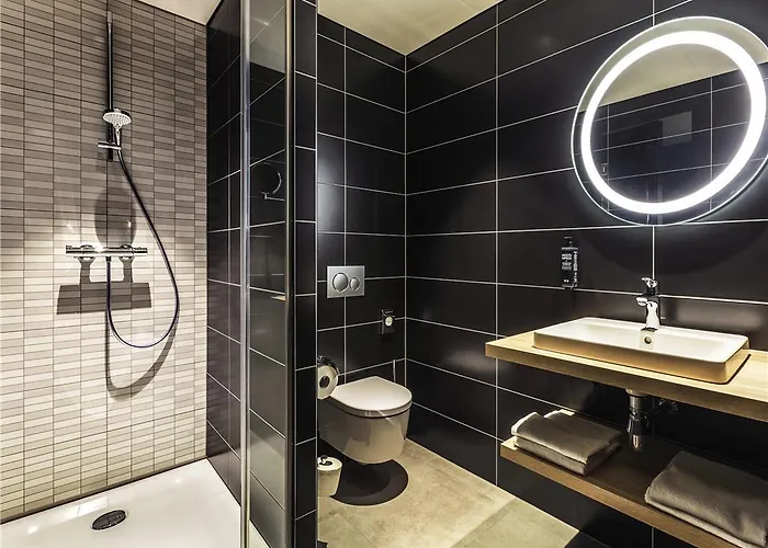 Hotel Ibis Styles Centre *